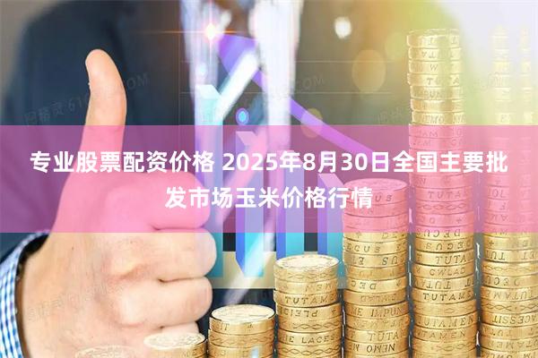 专业股票配资价格 2025年8月30日全国主要批发市场玉米价格行情
